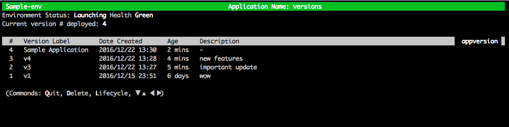 Versions table showing Sample Application as version 4 deployed with Health Green status.