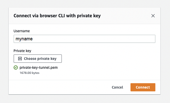 
                                通过浏览器 CLI 连接私钥的表单对话框，显示用户名字段以及选择或使用预先选择的私钥文件的选项。
                            