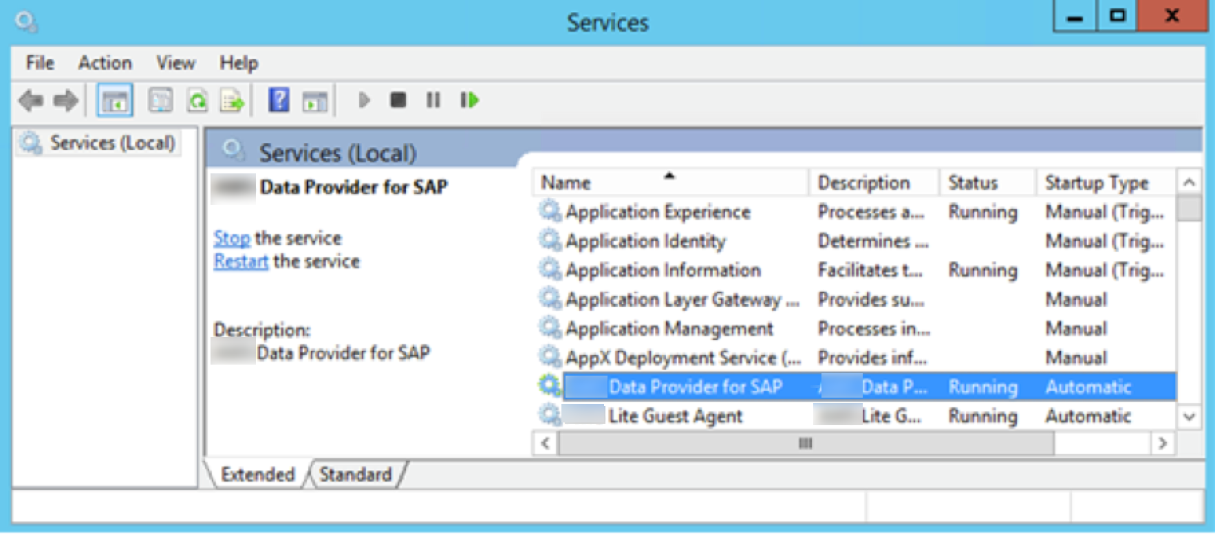
            停止并重新启动AmazonWindows 上的 SAP 数据提供器
          