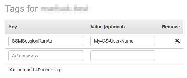 
                                        为 Session Manager 运行身份权限指定标签的屏幕截图。Key = SSMSessionRunAs,Value=My-OS-User-Name
                                    